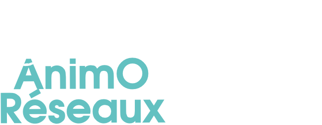 Logo blanc horizontal AnimOréseaux
